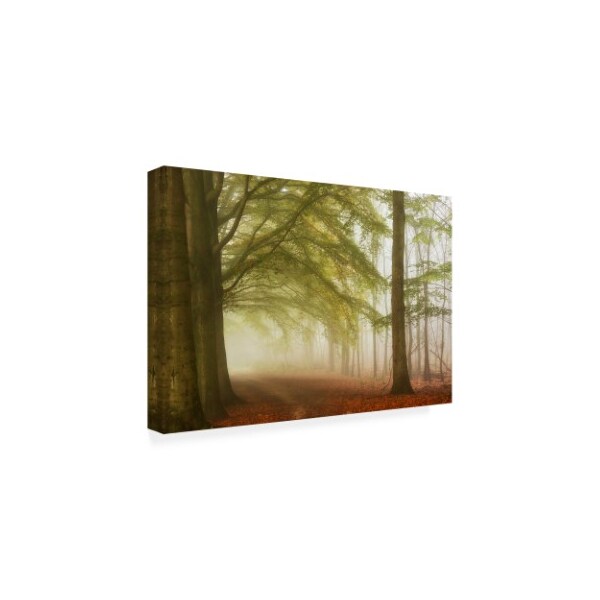 Lars Van De Goor 'Dream Walkers' Canvas Art,12x19